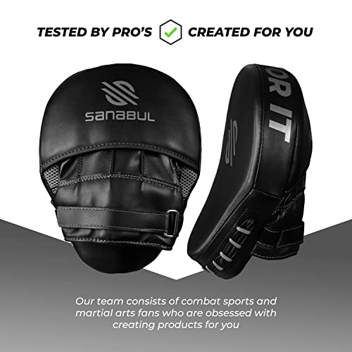 Sanabul Essential Curved Boxing MMA Punching Mitts for Sparring and Training (Metallic Silver)