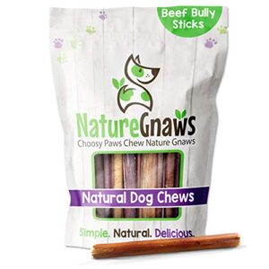 nature gnaws bully sticks for dogs – premium natural beef dental bones – long lasting dog chew treats for aggressive chewers – rawhide free – 5-6 inch