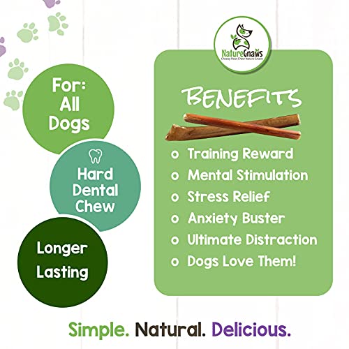 Nature Gnaws Bully Sticks for Dogs - Premium Natural Beef Dental Bones - Long Lasting Dog Chew Treats for Aggressive Chewers - Rawhide Free - 5-6 Inch