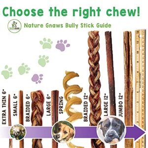 Nature Gnaws Bully Sticks for Dogs - Premium Natural Beef Dental Bones - Long Lasting Dog Chew Treats for Aggressive Chewers - Rawhide Free - 5-6 Inch