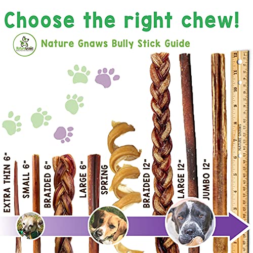 Nature Gnaws Bully Sticks for Dogs - Premium Natural Beef Dental Bones - Long Lasting Dog Chew Treats for Aggressive Chewers - Rawhide Free - 5-6 Inch