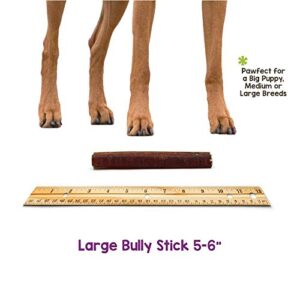 Nature Gnaws Bully Sticks for Dogs - Premium Natural Beef Dental Bones - Long Lasting Dog Chew Treats for Aggressive Chewers - Rawhide Free - 5-6 Inch