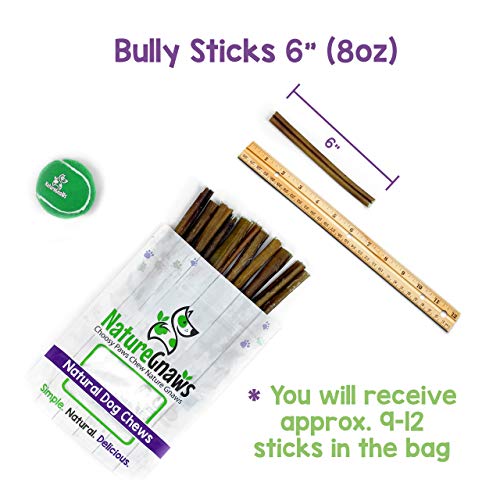 Nature Gnaws Bully Sticks for Dogs - Premium Natural Beef Dental Bones - Long Lasting Dog Chew Treats for Aggressive Chewers - Rawhide Free - 5-6 Inch