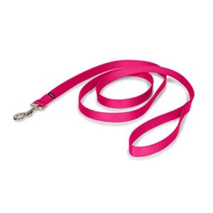 petsafe nylon dog leash – strong, durable, traditional style leash with easy to use bolt snap – 3/4 in. x 6 ft, raspberry pink