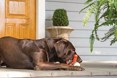 PetSafe Sportsmen Natural Rawhide Treat Refill Rings, Replacement Treats for PetSafe Sportsmen Treat Ring Holding Toys, LARGE (SIZE C RINGS)