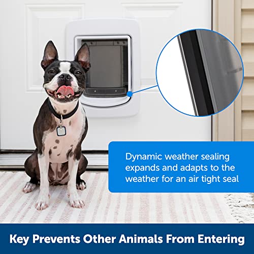 PetSafe SmartDoor™ Never Rust Connected Pet Door, Dog and Cat, Selective Entry and Exit, App Enabled Pet Door, Smart Device, Smartphone Controlled, Customize Schedule, Multiple Pets, Medium