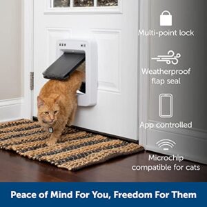 PetSafe SmartDoor™ Never Rust Connected Pet Door, Dog and Cat, Selective Entry and Exit, App Enabled Pet Door, Smart Device, Smartphone Controlled, Customize Schedule, Multiple Pets, Medium