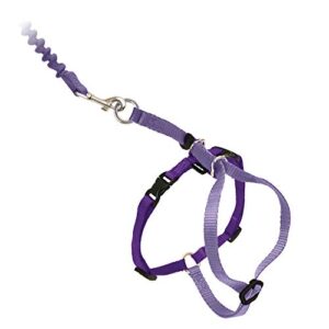 petsafe come with me kitty harness and bungee leash, harness for cats, large, lilac/bright purple