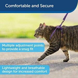 PetSafe Come With Me Kitty Harness and Bungee Leash, Harness for Cats, Large, Lilac/Bright Purple