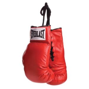 Everlast 720000 Autograph Gloves Red