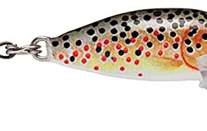 Rapala Countdown 01 Fishing lure, 1-Inch, Brown Trout