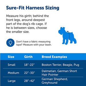 PetSafe Sure-Fit Dog Harness - Training & Behavior Aid - Tactical Design Prevents Pressure on Throat - 2 Quick-Snap Buckles Simplify Slipping On & Off - 5 Adjustment Points - Small, Black