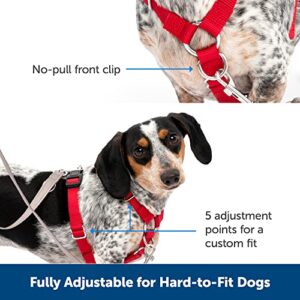 PetSafe Sure-Fit Dog Harness - Training & Behavior Aid - Tactical Design Prevents Pressure on Throat - 2 Quick-Snap Buckles Simplify Slipping On & Off - 5 Adjustment Points - Small, Black