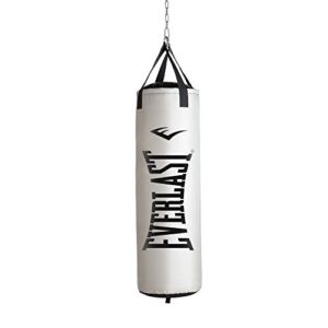 everlast 70lb platinum heavy bag