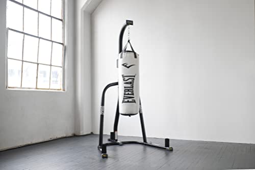 Everlast 70lb Platinum Heavy Bag