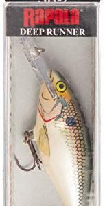 Rapala Shad Rap 07 Fishing lure (Shad, Size- 2.75)