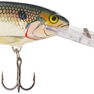 Rapala Shad Rap 07 Fishing lure (Shad, Size- 2.75)