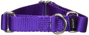 petsafe martingale collar, 3/4″ small, deep purple