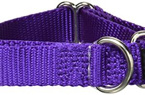 PetSafe Martingale Collar, 3/4" Small, Deep Purple