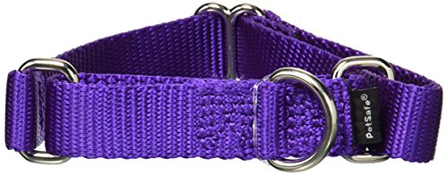 PetSafe Martingale Collar, 3/4" Small, Deep Purple