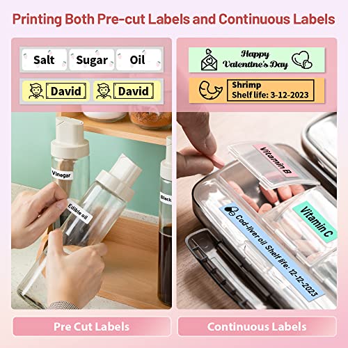 Phomemo Label Maker Machine, D30 Portable Bluetooth Label Printer with Tape Label Maker Handheld, Multiple Templates Available for Smartphone Easy to Use for Office Home Organization USB Rechargeable