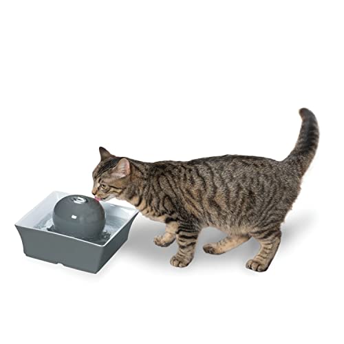 PetSafe Drinkwell Seascape Ceramic Pet Water Fountain - Quiet Automatic Water Dispenser for Cats and Small Dogs with Filters Included - 70 Ounce (2 Liter) - Dishwasher Safe - Square Modern Design