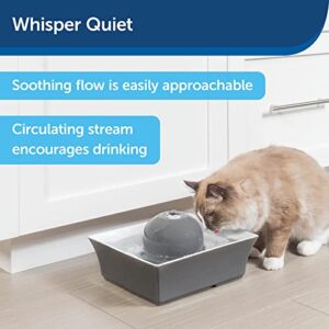 PetSafe Drinkwell Seascape Ceramic Pet Water Fountain - Quiet Automatic Water Dispenser for Cats and Small Dogs with Filters Included - 70 Ounce (2 Liter) - Dishwasher Safe - Square Modern Design