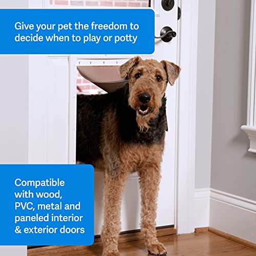 PetSafe Plastic Pet Door Large with Soft Tinted Flap, Paintable White Frame, for dogs up to 100 lb.