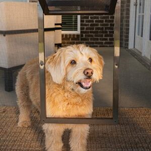 PetSafe NEVER RUST Screen Door - Size Small – For Dogs and Cats up to 30 lb – Use in Screen Doors – Window Screens and Porch Screens