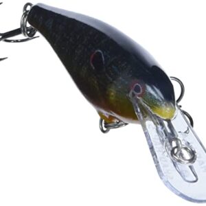 Shad Rap 05 Live Pumpkinseed