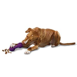 petsafe busy buddy chuckle sound dog chew toy – treat dispenser, bb-chk, purple,medium/large