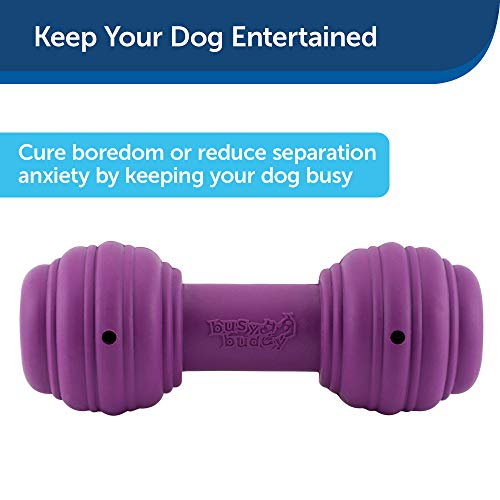 PetSafe Busy Buddy Chuckle Sound Dog Chew Toy - Treat Dispenser, BB-CHK, Purple,Medium/Large