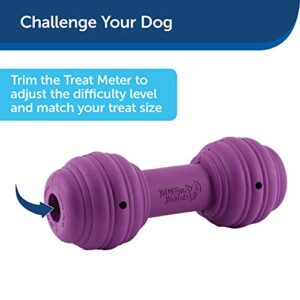 PetSafe Busy Buddy Chuckle Sound Dog Chew Toy - Treat Dispenser, BB-CHK, Purple,Medium/Large