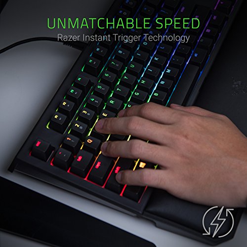 Razer BlackWidow TE Chroma v2 TKL Tenkeyless Mechanical Gaming Keyboard: Green Key Switches, Tactile & Clicky, Chroma RGB Lighting, Magnetic Wrist Rest, Programmable Macros, Classic Black