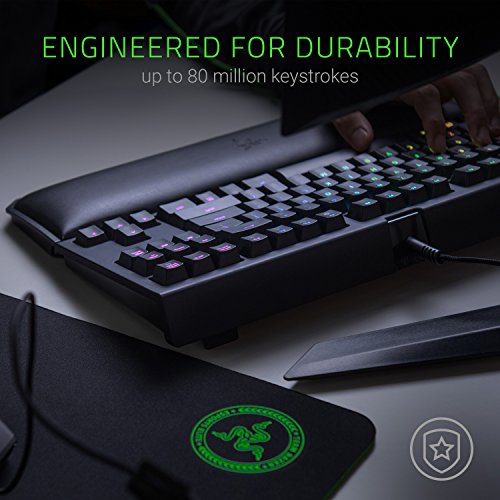 Razer BlackWidow TE Chroma v2 TKL Tenkeyless Mechanical Gaming Keyboard: Green Key Switches, Tactile & Clicky, Chroma RGB Lighting, Magnetic Wrist Rest, Programmable Macros, Classic Black