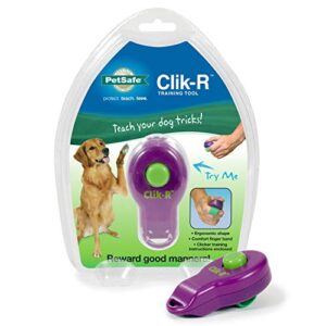 PetSafe Clik-R Dog Training Clicker - Positive Behavior Reinforcer for Pets - All Ages, Puppy and Adult Dogs - Use to Reward and Train - Training Guide Included - Purple