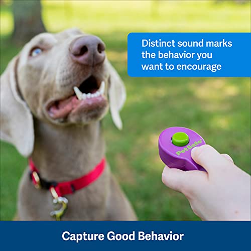 PetSafe Clik-R Dog Training Clicker - Positive Behavior Reinforcer for Pets - All Ages, Puppy and Adult Dogs - Use to Reward and Train - Training Guide Included - Purple