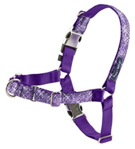 petsafe bling easy walk harness, medium, purple