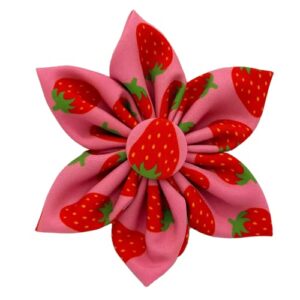 h&k pet pinwheel | strawberry (large) | spring velcro collar accessory for dogs/cats | fun pet pinwheel collar attachment | cute, comfortable pet accessory