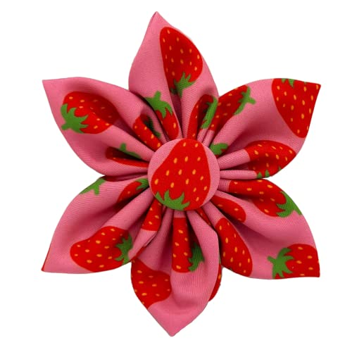 H&K Pet Pinwheel | Strawberry (Large) | Spring Velcro Collar Accessory for Dogs/Cats | Fun Pet Pinwheel Collar Attachment | Cute, Comfortable Pet Accessory