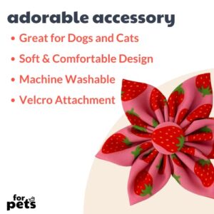 H&K Pet Pinwheel | Strawberry (Large) | Spring Velcro Collar Accessory for Dogs/Cats | Fun Pet Pinwheel Collar Attachment | Cute, Comfortable Pet Accessory