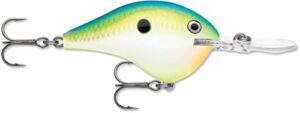dives-to 10 citrus shad