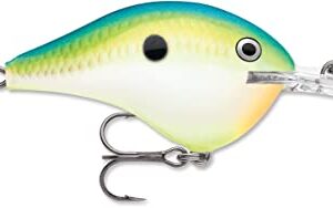 Dives-to 10 Citrus Shad