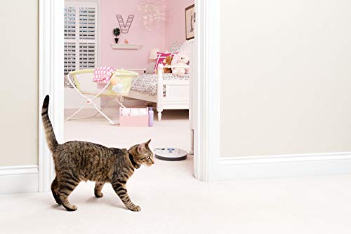PetSafe Indoor Radio Fence for Cats and Dogs, Transmitter Only, Adjustable Range Up to 10 feet Radius, Tone and Static Correction - From The Parent Company of INVISIBLE FENCE Brand