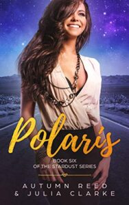 polaris: book six of the stardust series