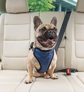petsafe happy ride dog safety harness for cars – dog car harness includes seat belt tether – keeps pets restrained – breathable mesh, adjustable straps – dog travel accessories for car – medium