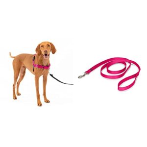 PetSafe Easy Walk Dog Harness, No Pull Dog Harness, Raspberry/Gray, Medium & Nylon Dog Leash - Strong, Durable, Traditional Style Leash with Easy to Use Bolt Snap - 3/4" x 6', Raspberry Pink