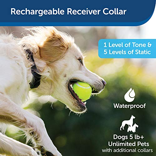 PetSafe YardMax Rechargeable In-Ground Fence for Dogs and Cats – from The Parent Company of Invisible Fence Brand – Boundary Wire Not Included – Pick Your Wire Gauge Separately
