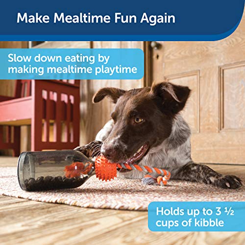 PetSafe Medium/Large Sportsmen Tug A Jug Pet Chew Toy