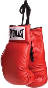 everlast vinyl pair of red boxing gloves – great for autographs